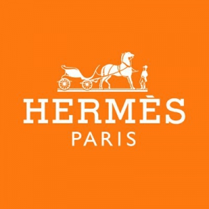 Hermes logo_hermes